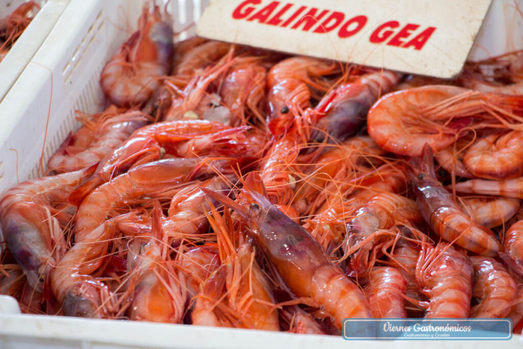 Gamba roja de Garrucha