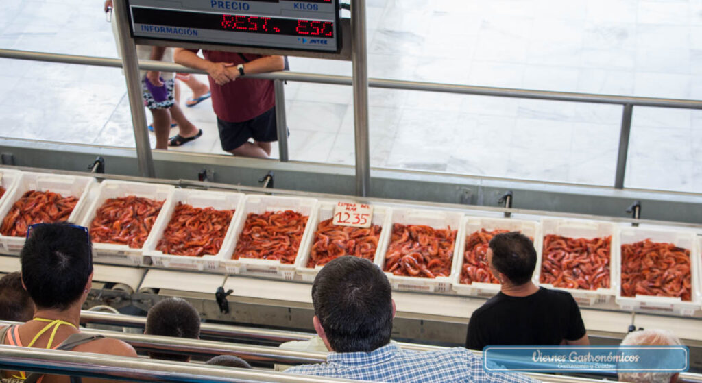 Subasta de la gamba roja de Garrucha