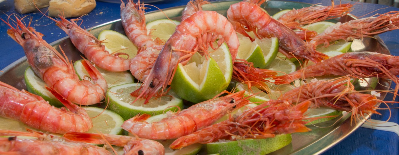 Gamba roja de Garrucha (Almería) Gamba roja de Garrucha (Almería)