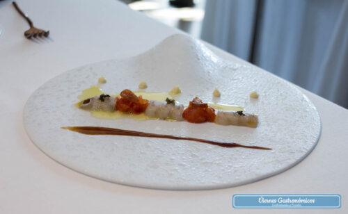 Restaurant L’Antic Molí - Jornadas de la Galera 2017 - Galera cocida a la plancha inversa con tomate, ajoblanco y salicórnia