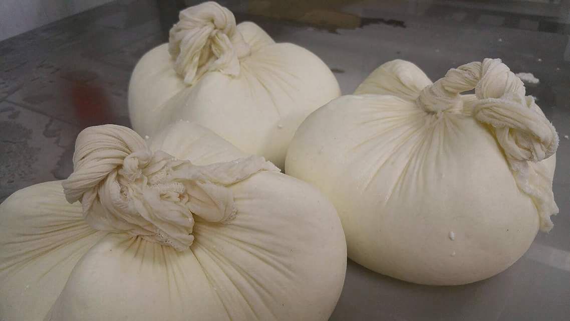 La Majada Quesos celebra su primer aniversario con la apertura del queso de servilleta más grande del país La Majada Quesos celebra su primer aniversario con la apertura del queso de servilleta más grande del país