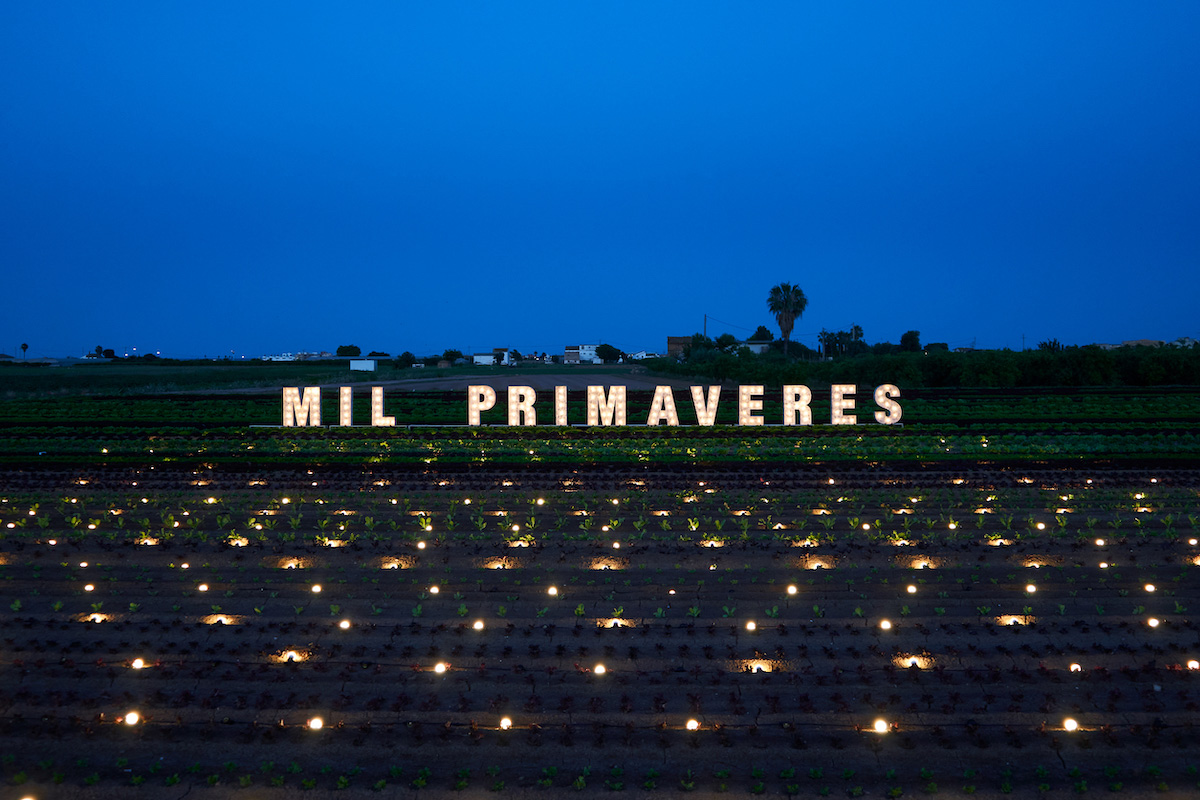 El Carraixet celebra las “mil primaveras” de l’Horta valenciana El Carraixet celebra las “mil primaveras” de l’Horta valenciana